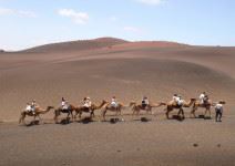 Parque Natural de Timanfaya (1/2 jornada)