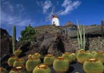 Cueva de los verdes y Jardín de cactus (1/2 día)