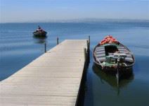 Paseo en barca por el Parque Natural de la Albufera (1 hora) - Valencia sin profes