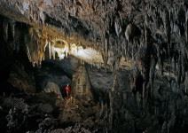 Cuevas de Nerja y Museo (1h)