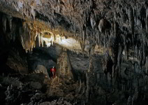 Cuevas de Nerja y Museo (2h)