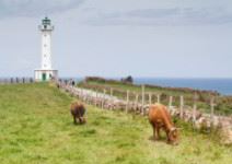 Visita guiada Candás, Cabo de Peñas y Luanco (1/2 jornada)