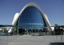 Ciudad de las Artes y las Ciencias: Oceanográfico + Museo de la Ciencia (Media Jornada)