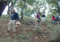 Multiaventura en la Fábrica de La Luz (1 jornada)