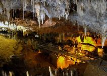 P5 (P): TODO CANTABRIA CULTURAL: Día 4: Visita Cueva del Soplao + Parque de Cabárceno