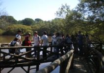 P5-Día 2: Visita al Acebron y Paseo en Dromedario