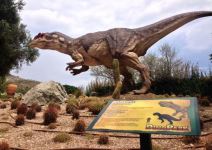 Dino Park Algar (2h aprox)