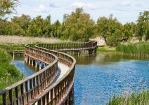 Visita libre a Tablas de Daimiel (3h)