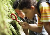P5 - Inmersión - Día 4: Orientación y Talleres