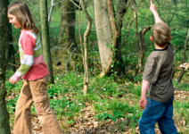 P5(AP): Dia 4: Actividades naturaleza, juegos dinámicos, talleres