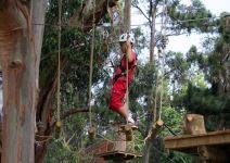 Parque de Aventura en Guadarrama (1/2 jornada) - PRIMARIA