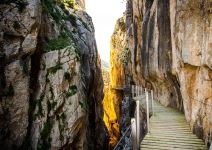 Excursión libre "Caminito del Rey" (4h)