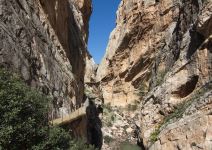 Excursión guiada del "Caminito del Rey" - SECUNDARIA