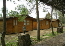 Campamento en Lepe