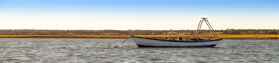 Viaje Fin de Curso a Huelva - Multiaventura