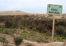 Senderismo por el Parque Natural del Delta del Ebro (2 horas)