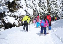 Naturlandia para primaria