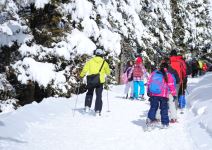 Naturlandia para secundaria