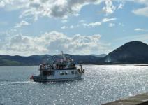 Paseo en barco por Santoña y visita a Conservera (2h 30min.)