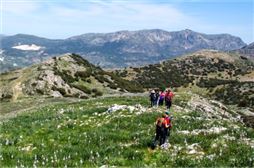 Multiaventura en Valdepeñas, la parte más emocionante de Ciudad Real