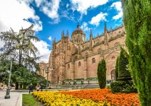 Visita guiada Salamanca 2h