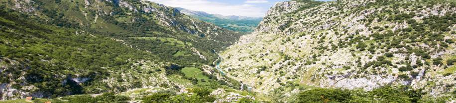 Inmersión lingüística en Asturias