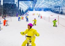 Snowzone Madrid - Visita multiactividad (2h) pack nieve diversión