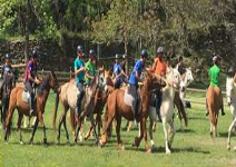 Inflapark + Excursión a caballo 