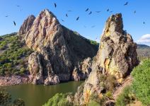 P3AJ-Día 1: Parque Nacional de Monfraguë y Rally Fotográfico.