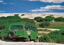 Visita del Parque de Doñana en 4x4  (4 horas) - Hasta 14 años