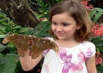 Sea Life + Mariposario (1/2 jornada)