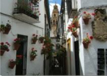 Visita guiada de Cordoba (2h)