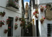 Visita guiada a Córdoba (3h)