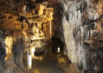 Cueva de los Enebralejos (1h)