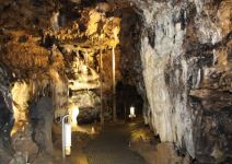 Cueva de los Enebralejos (1h)