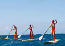 Actividades Náuticas en Playa de San Juan (1/2 jornada) 2º dia 