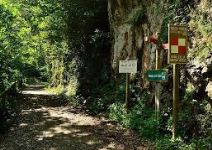 Senda del Oso en bici (2h)