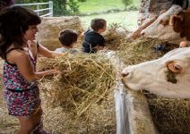 Visita guiada a un caserío 