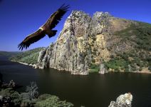 P3 - Día 2 (GG): Parque de Monfragüe, Kayaks, y Paddle