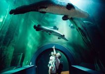 Acuario de Zaragoza