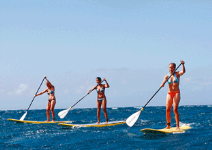 Actividades Náuticas en Playa de San Juan (1/2 jornada)