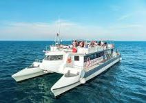 Excursión escolar fin de curso con baño (2h) - GANDÍA