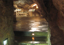 Visita a la Cueva del Dragut (1h)