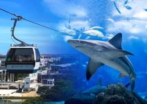 Oceanario + Teleférico (1/2 jornada) - HASTA 12 AÑOS