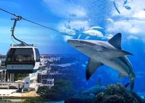 Oceanario + Teleférico (1/2 jornada) -  A PARTIR DE 13 AÑOS