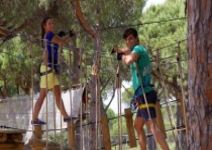 P2 - Día 2 (HY): Parque de árboles o playa y regreso a casa