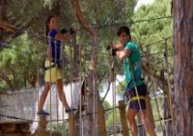 P4 - Día 4 (HY): Parque de árboles o playa y regreso a casa