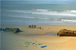 Viaje fin de curso a Cádiz