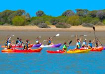 Kayak en Sanlúcar de Barrameda (2h)