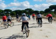 Multiaventura Doñana (6h)